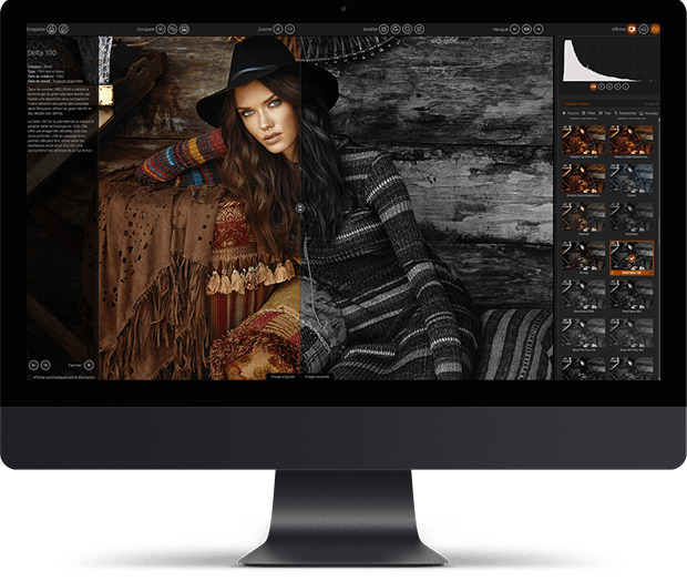 Analog Film Or Designer, Color Or Black & White, With - Fashion (620x524), Png Download