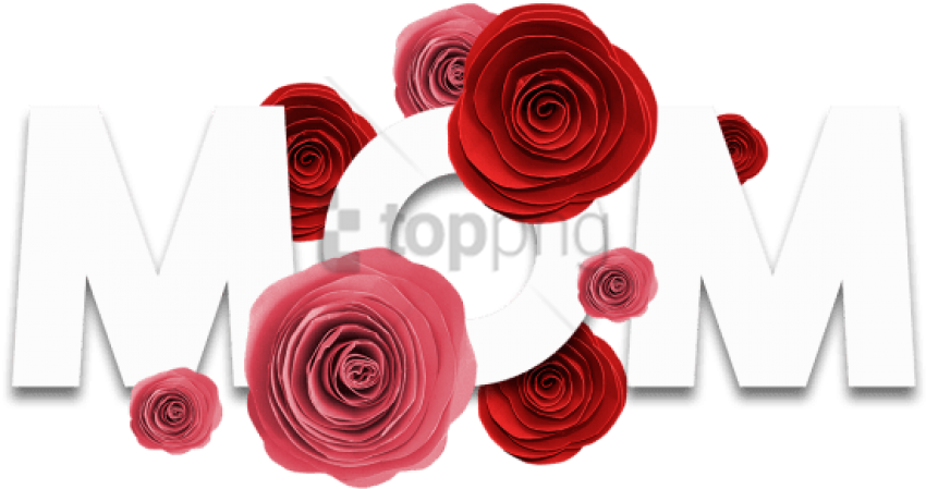 Free Png Mãe, Palavra Com Rosas Livre E Psd - Garden Roses (850x449), Png Download
