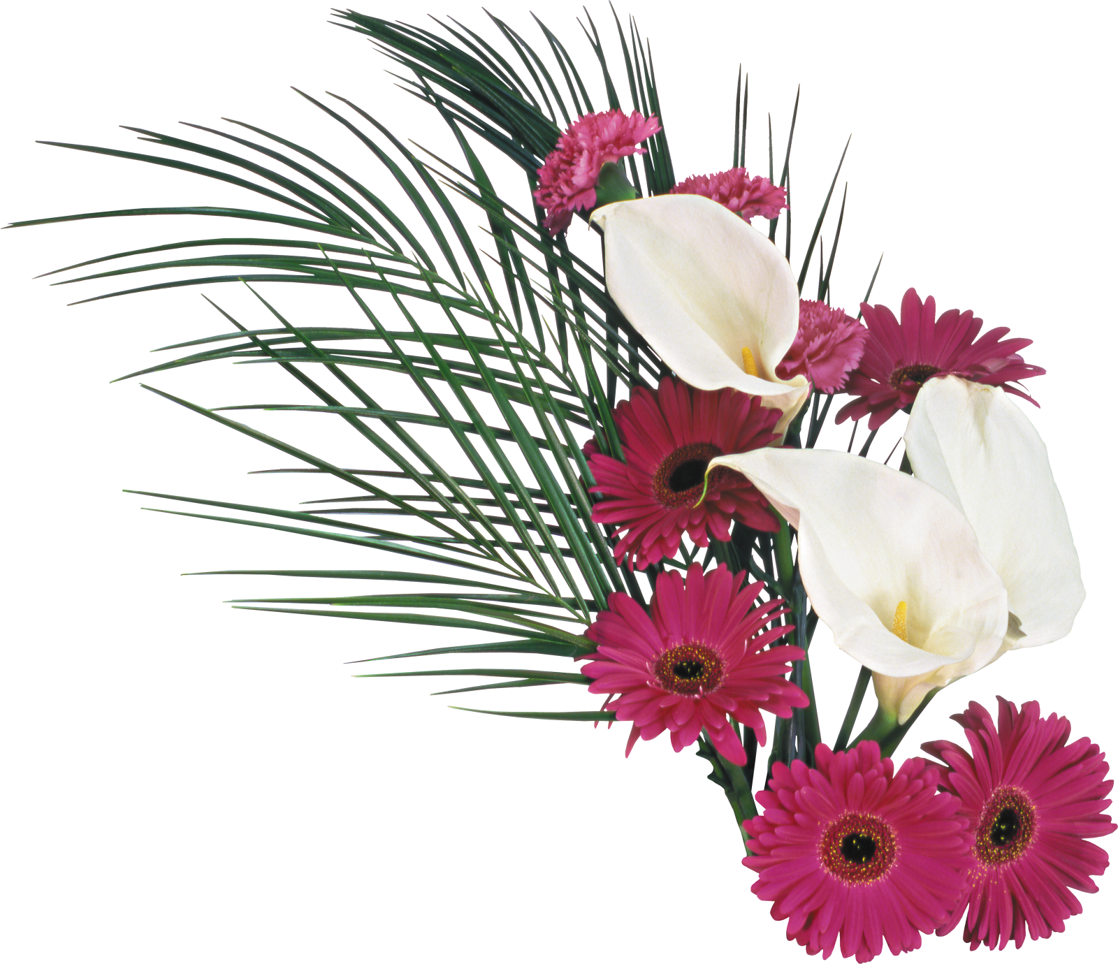 Красивые Картинки С Днём Учителя С Цветами (1600x1380), Png Download