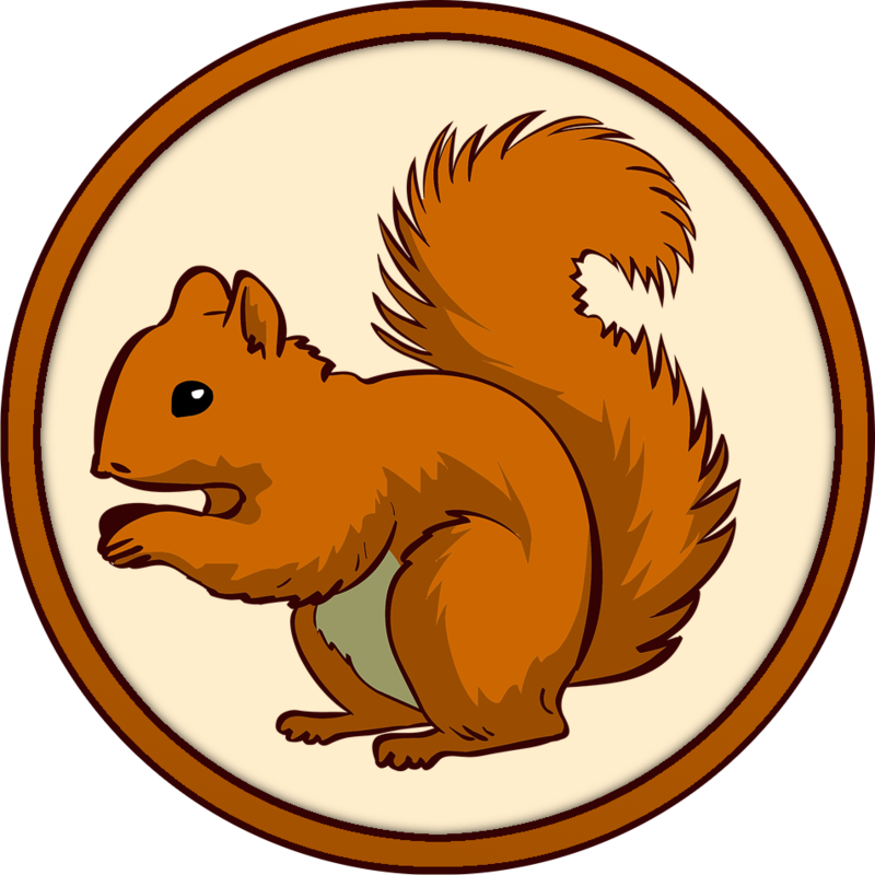 Squirrel ] - Squirrel Clipart Png (800x800), Png Download