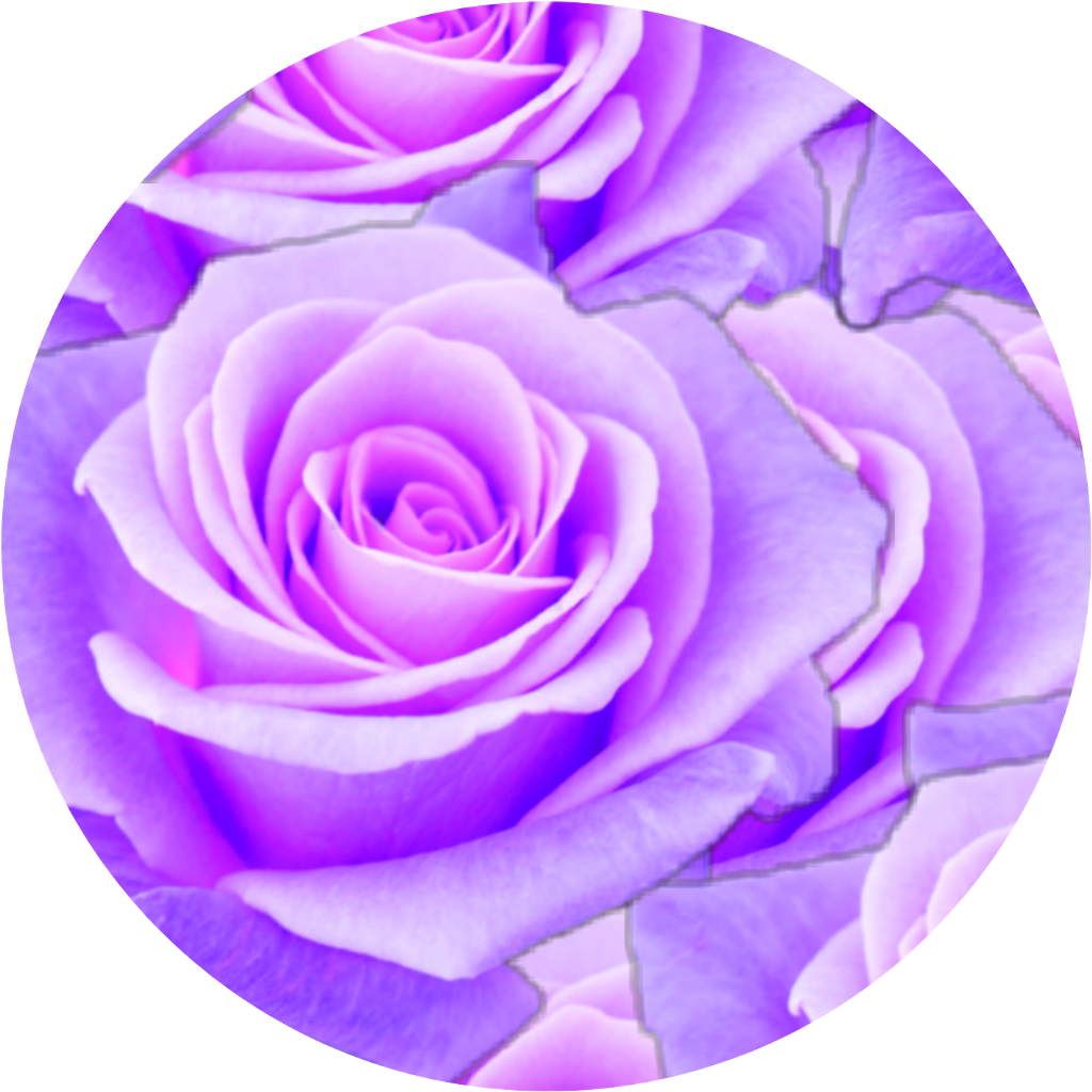 #purple #rose #circle #aesthetic - Aesthetic Purple Rose (1024x1024), Png Download