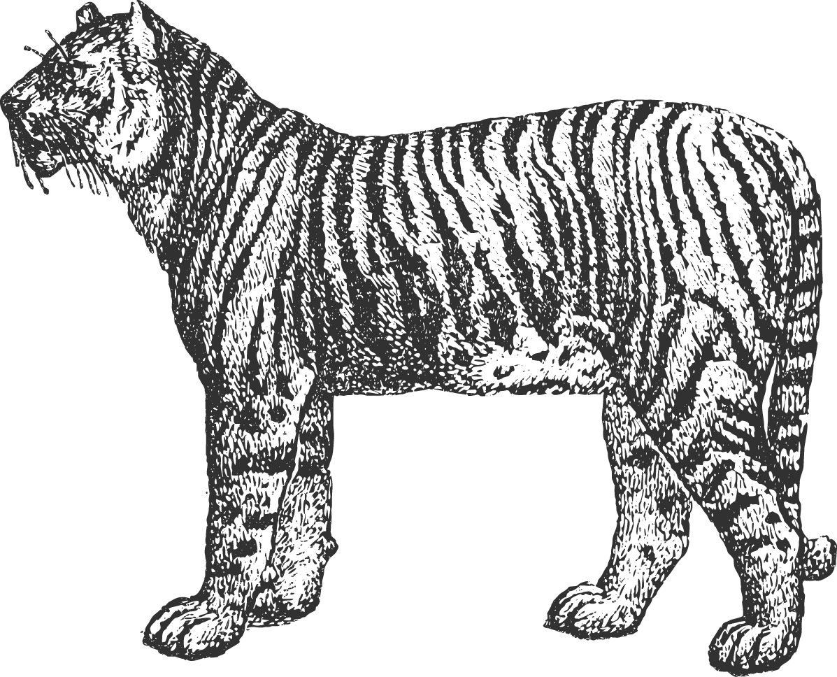 Menu - Siberian Tiger (1197x968), Png Download