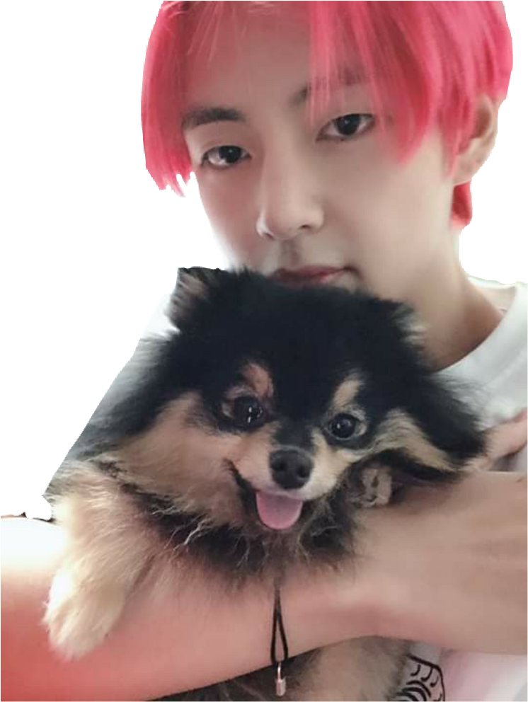 #yeontan #taehyung #bts #png - Taehyung And Yeontan (1024x1024), Png Download