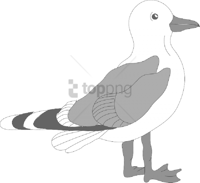 Free Png Seagull Template Png Image With Transparent - Bird Clip Art (850x779), Png Download