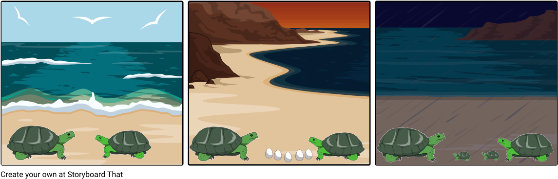 Illustration (1164x385), Png Download