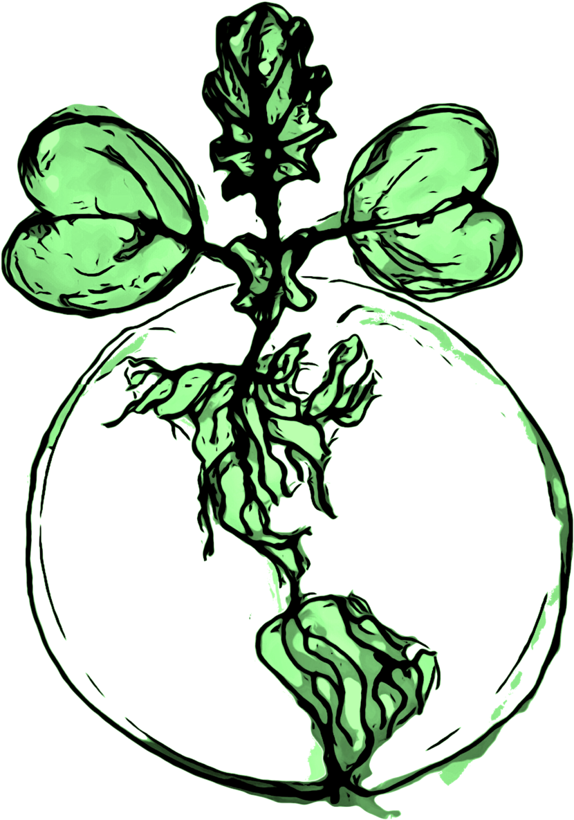 Backyardharvestlogo (1000x1286), Png Download