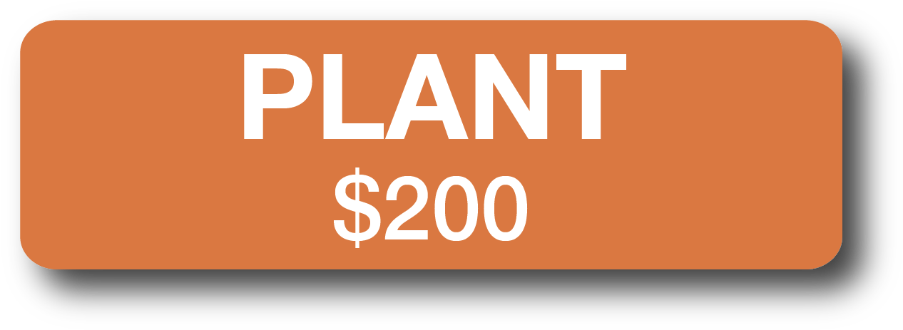 Your Support Will Fund Enough Vegetable Plant Starts - Request For Demo Button (1278x475), Png Download