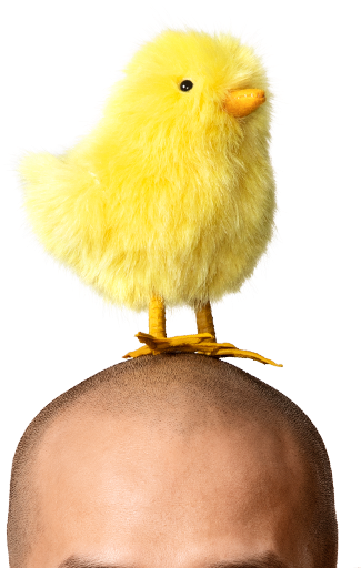 Man With Yellow Easter Chicken Decoration On Head (708x550), Png Download