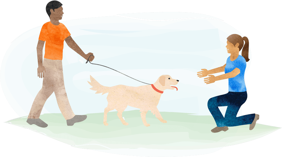 Get Your Pet Meet Up - Dog Catches Something (1000x560), Png Download