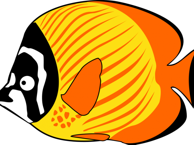 Fish Sea Animals Clipart (640x480), Png Download