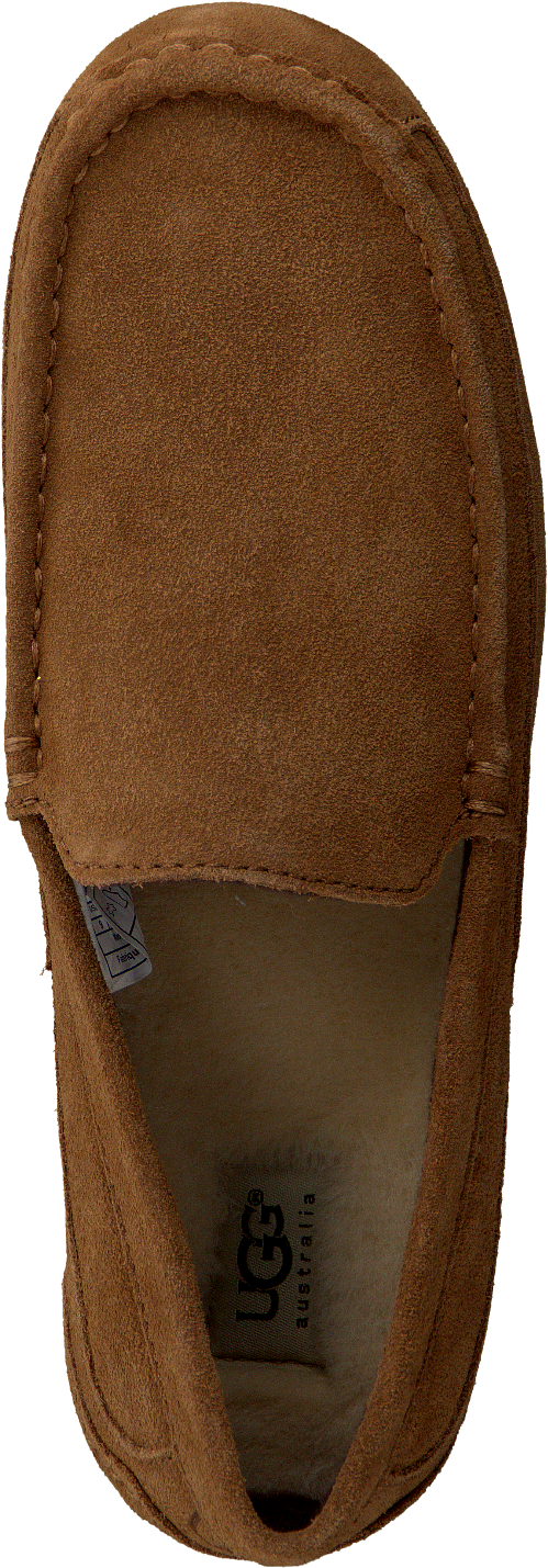 Cognacfarbene Ugg Slipper Alder - Suede (586x1500), Png Download