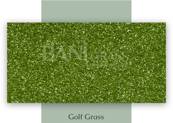The Gallery For > Golf Grass Png - Lawn (700x540), Png Download
