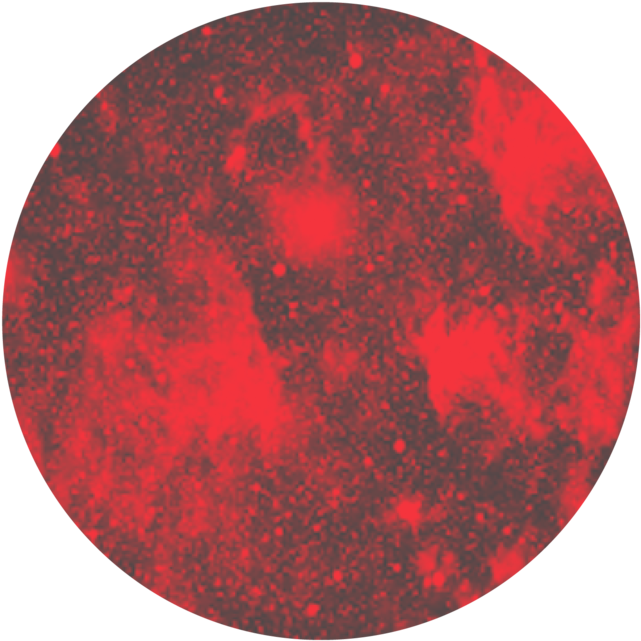 Sponsor Icons-01 - Circle (1000x1000), Png Download