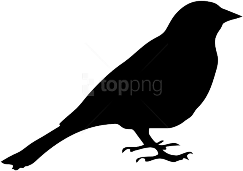 Free Png Birds Png Images Transparent - Pigeon Face Silhouette (850x637), Png Download