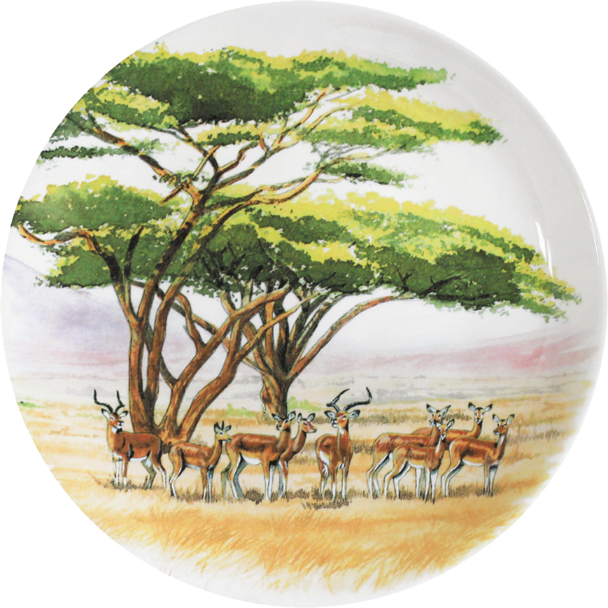 Plate (869x869), Png Download