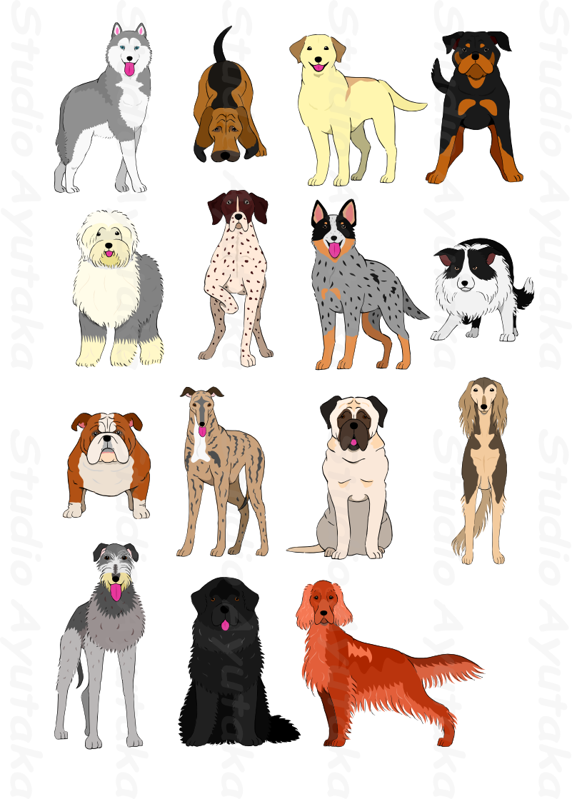 Group Of Large And Middle Dogs Breeds Hand Drawn - Dogs Clip Art Group (801x1119), Png Download