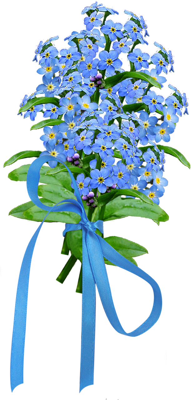 Forget Me Not Png Image - Dayflower (612x1280), Png Download