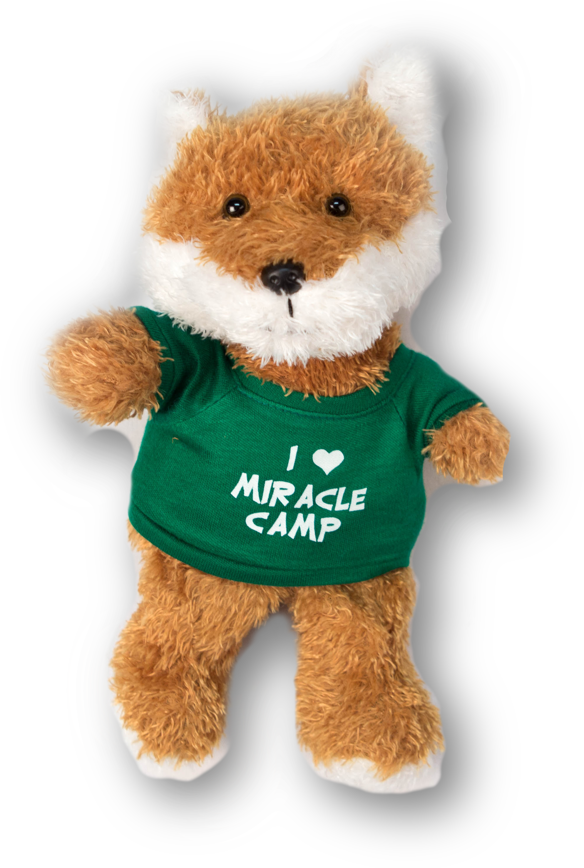 Teddy Bear (3110x3110), Png Download