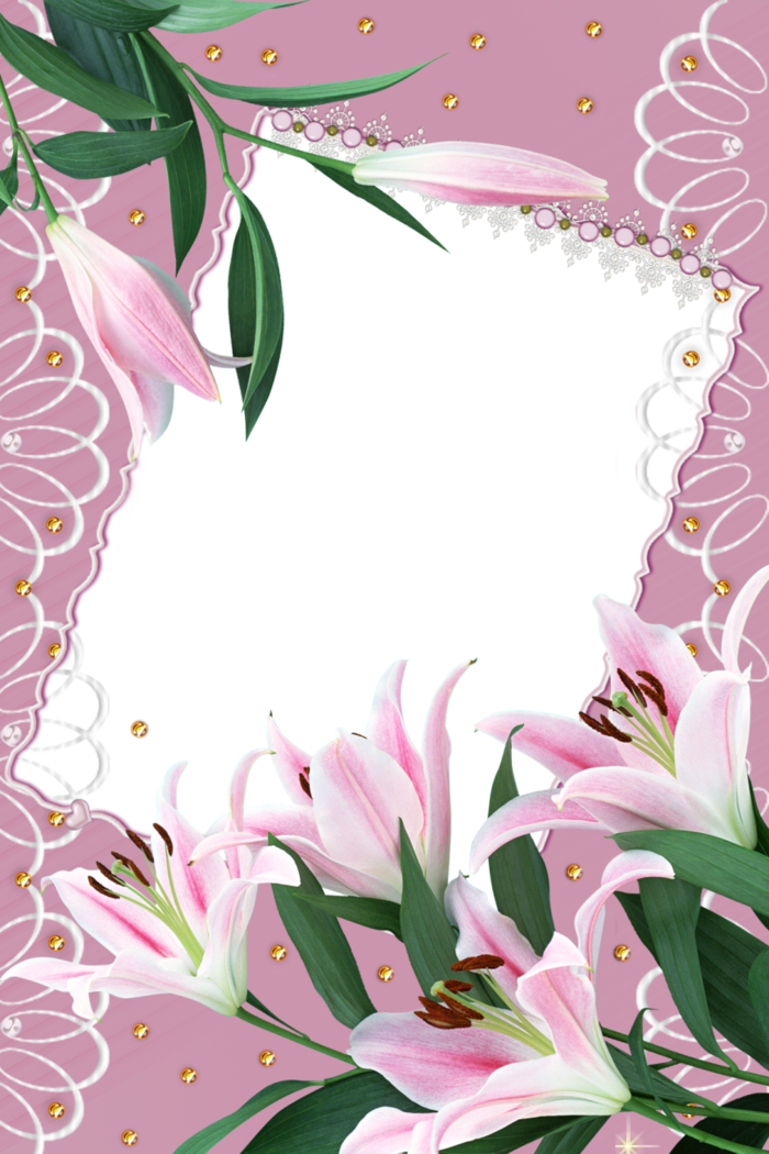 Forgetmenot - Frames - Lily (700x1050), Png Download