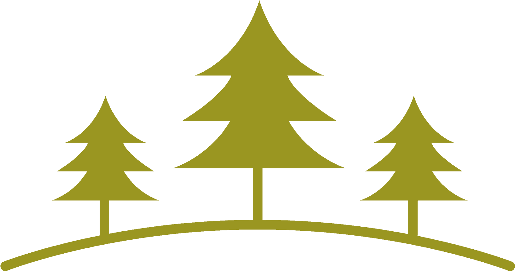 2017 Refresh @ Evergreen - Christmas Tree (1948x1094), Png Download