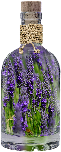 Lavender, Bottle, Plant, Spring, Purple, Nature, Field - Lavender Bottle (540x720), Png Download