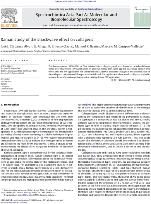 Pdf - Folio Seventeen From Burchard Of Sion's De Locis Ac (600x795), Png Download