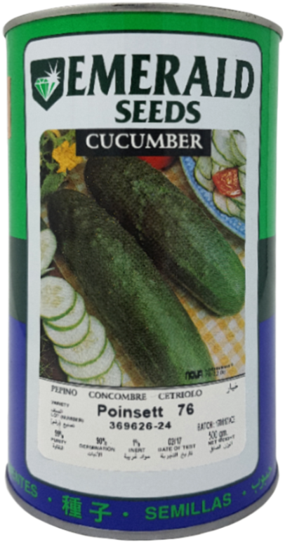 Zoom Images - Pepino Poinsett 76 (800x800), Png Download