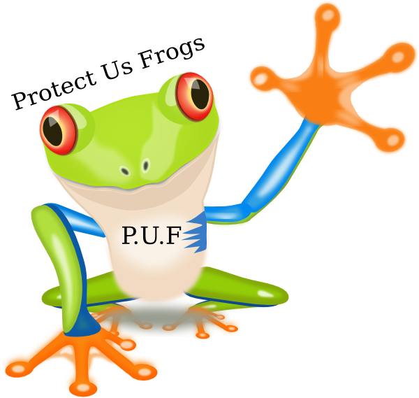 Small - Red Eyed Tree Frog Cartoon (600x569), Png Download