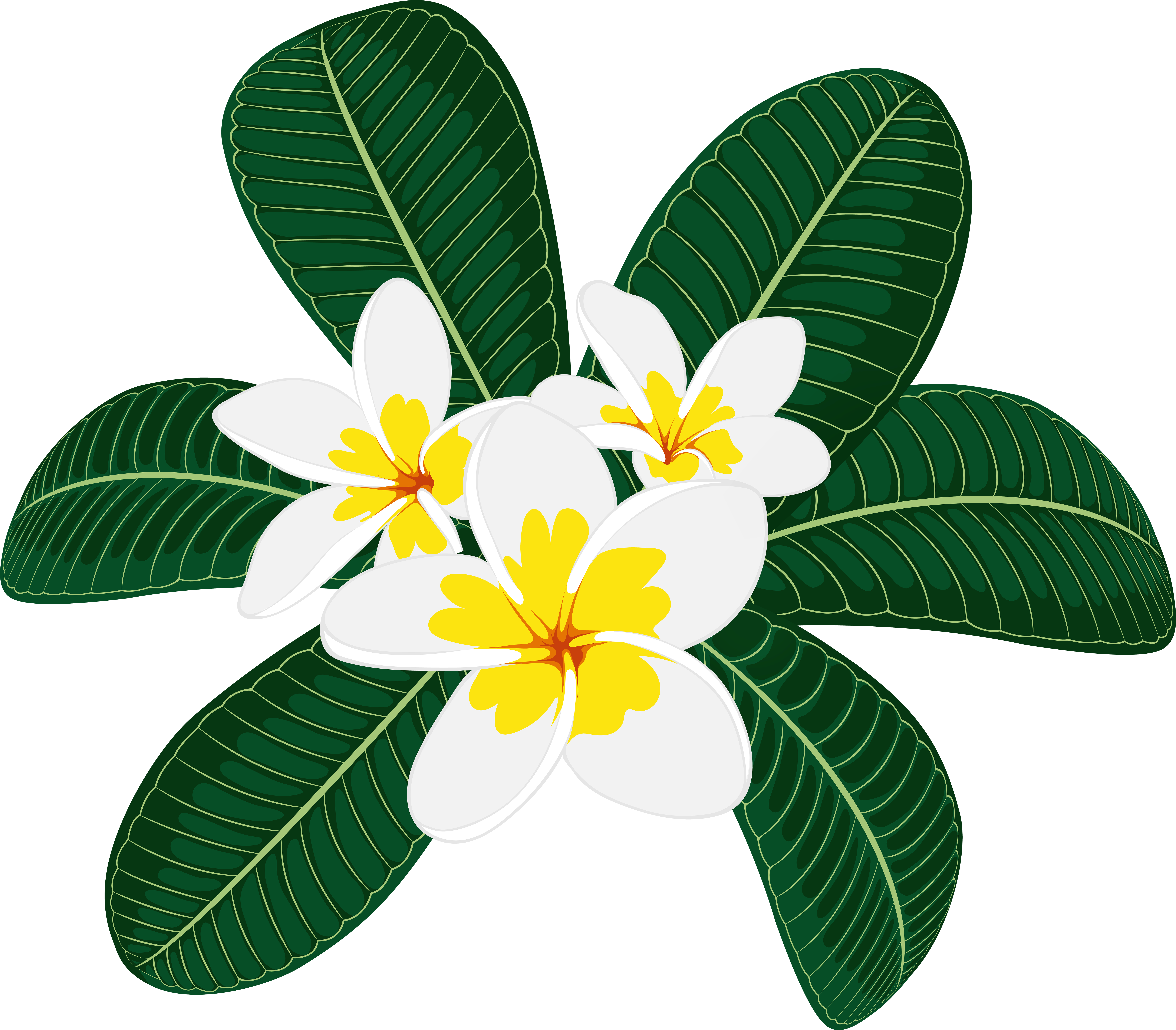 View Full Size (8000x7021), Png Download