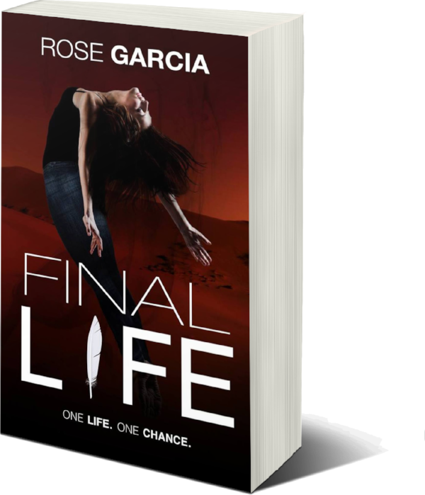 Final Life 3d (600x699), Png Download