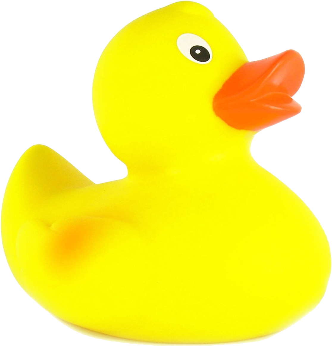 Duck (1500x1268), Png Download