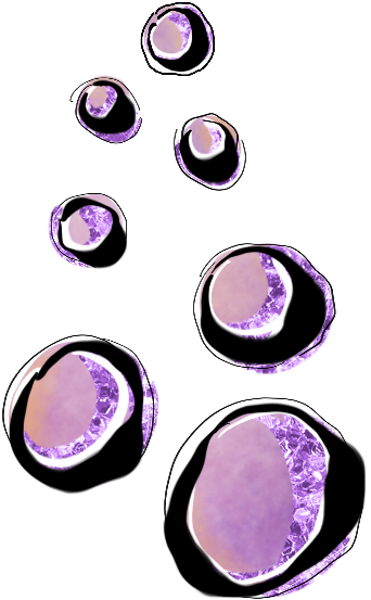 Eye Shadow (342x553), Png Download