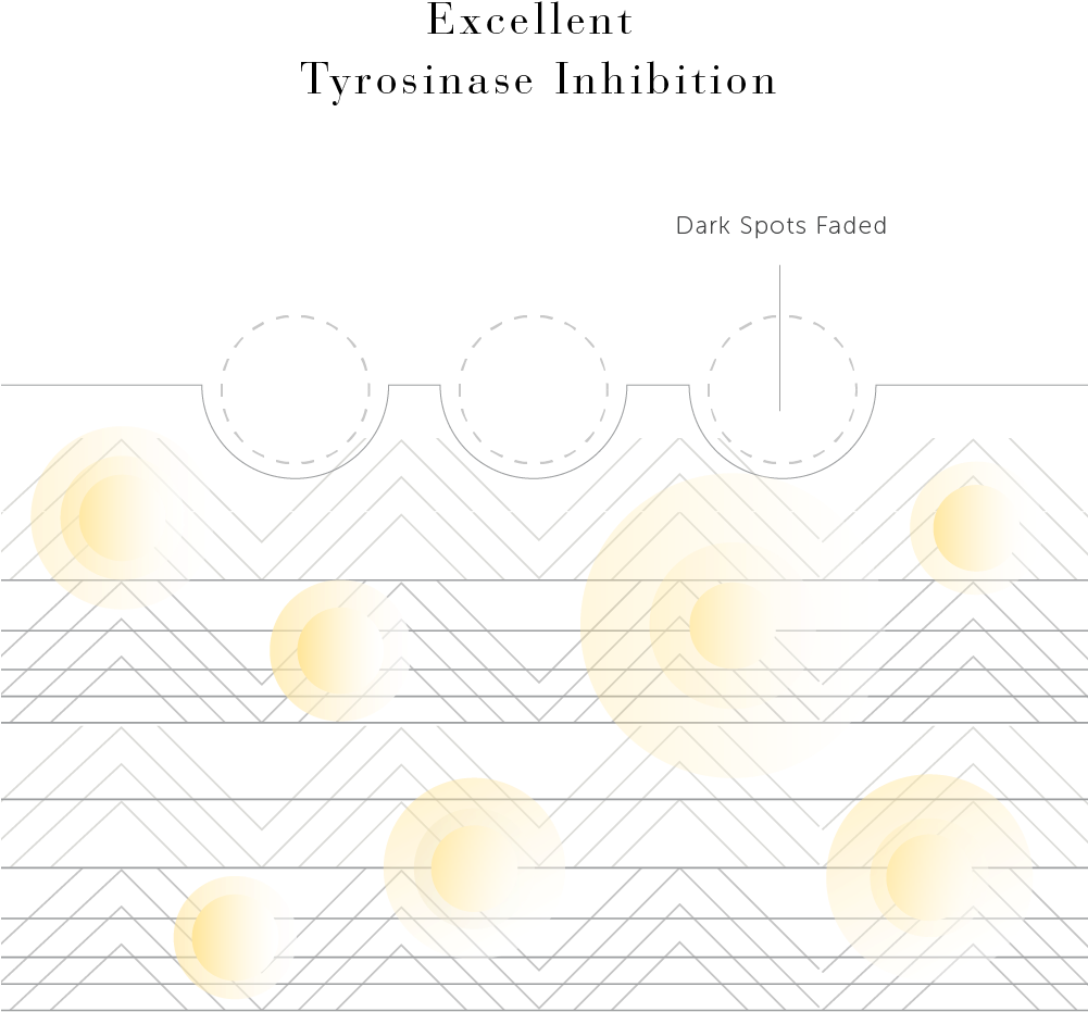Superwhite 377vc Ingredient Illustration - Diagram (1000x1000), Png Download