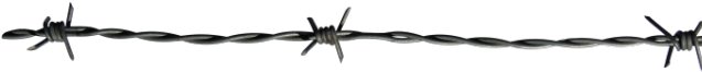 Barbed Wire Clipart Spiked - Barbed Wire (640x480), Png Download