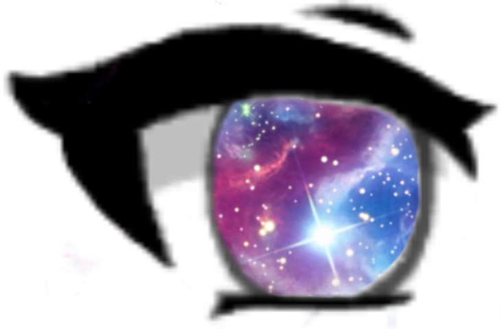 Cat (730x480), Png Download