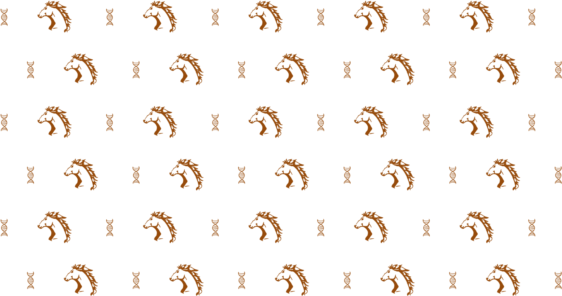 Pixbot › Hd Pattern Design - Visual Arts (1920x1080), Png Download