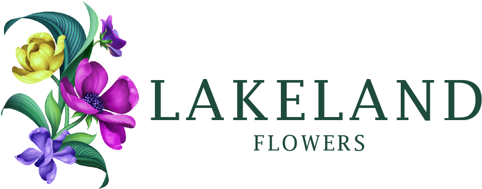 Lakeland, Fl Florist - Rosa Glauca (1000x431), Png Download