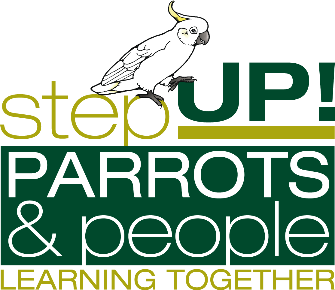 International Parrots 2020 Convention - Lit Lounge (1181x1024), Png Download