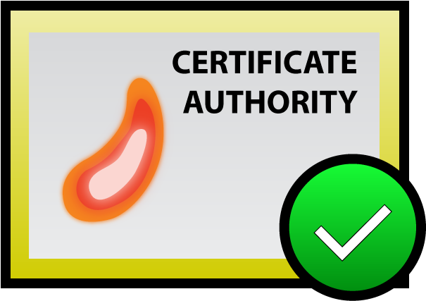 Certificate (792x612), Png Download