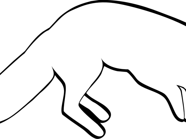 Arctic Fox Clipart Fox Head - Illustration (640x480), Png Download