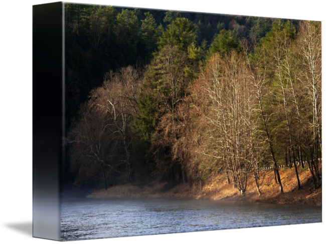 "clarion River In Fog And Sunlight" By Stephen Sepan, - Woodland (650x487), Png Download