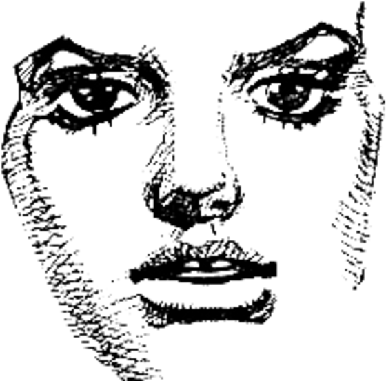 Jojo's Bizarre Adventure - Jojo's Bizarre Adventure Face Template (600x567), Png Download