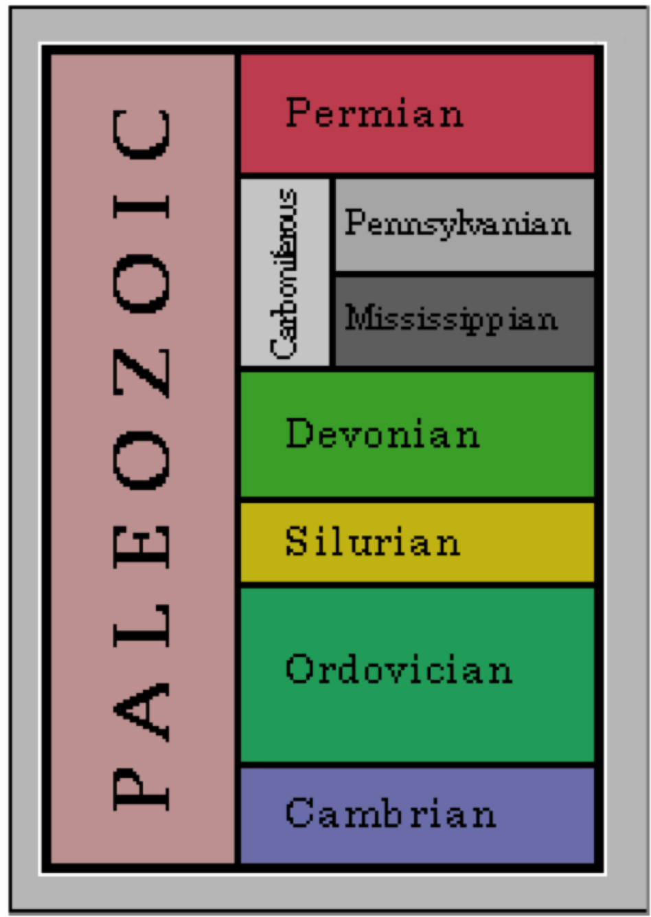 Amphibian-like Creatures That Were Ancestors Of Fish, - Timeline Permian Time Period (1120x1500), Png Download