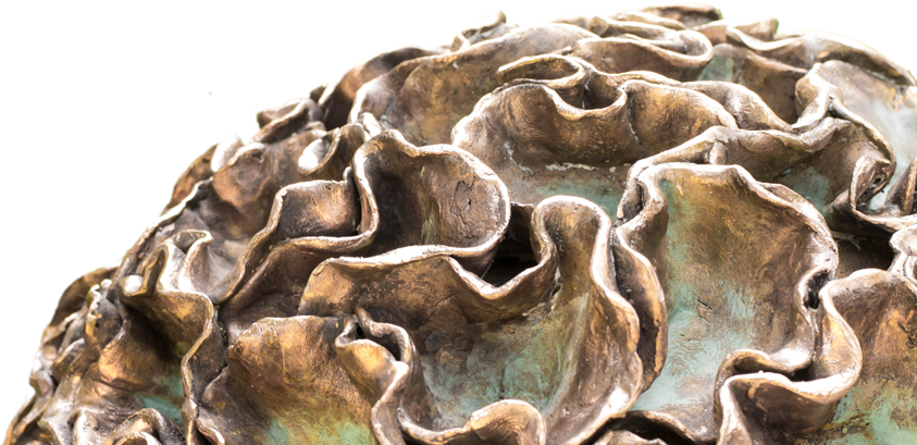 I Think That By Doing Everything Myself I Can Add An - Two Needle Pinyon Pine (1200x459), Png Download