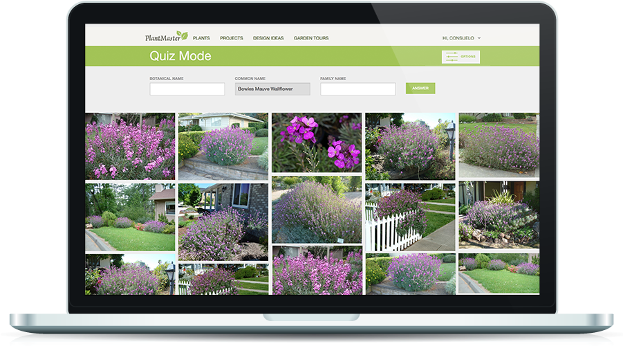 Built-in Quizzing Tools (900x530), Png Download
