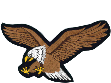 1229 Eagle Patch 7" - Eagle Patch (600x600), Png Download