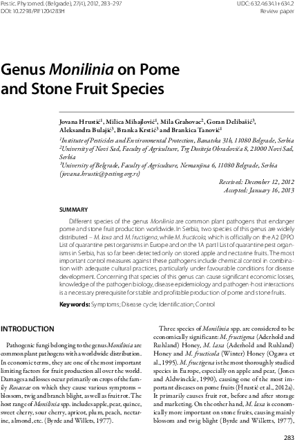 Pdf - Folio Thirteen From Burchard Of Sion's De Locis Ac (539x751), Png Download