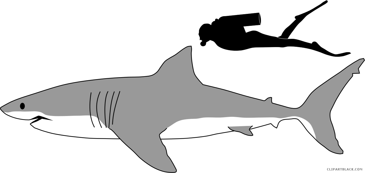 Great White Shark Animal Free Black White Clipart Images - Great White Shark Size To Human (1280x610), Png Download