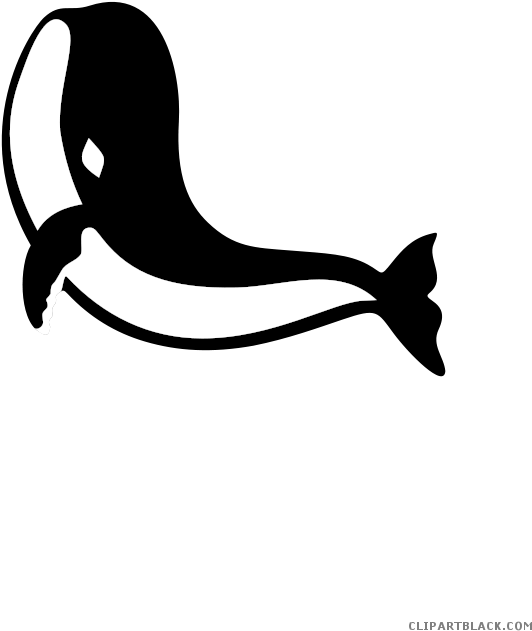 Black And White Shark Animal Free Black White Clipart - Paus Animasi (637x900), Png Download