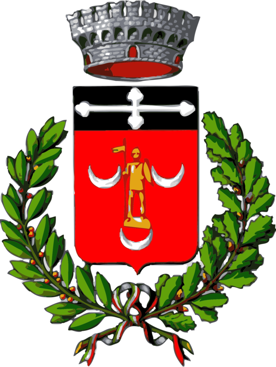 Aosta Saint-vincent Coat Of Arms Logo Comune - Torre De Picenardi Stemma (565x750), Png Download